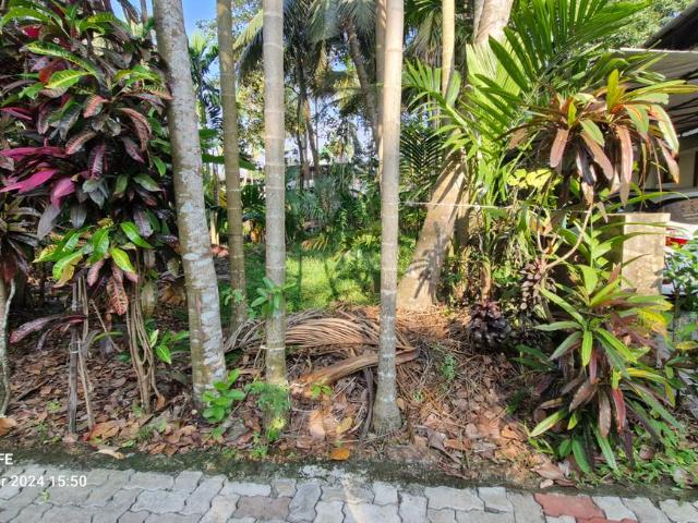 Land for sale in Thrippunithura, Kerala