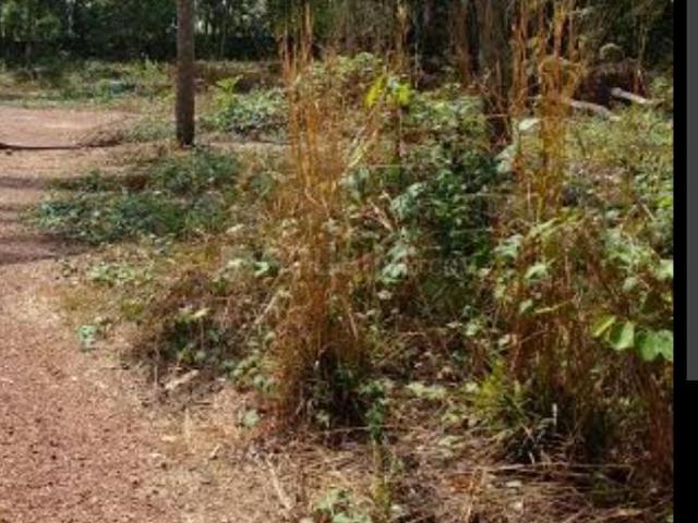 Land for sale in Kochi, Kerala