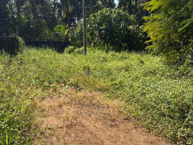 Land for sale in Thrippunithura, Kerala