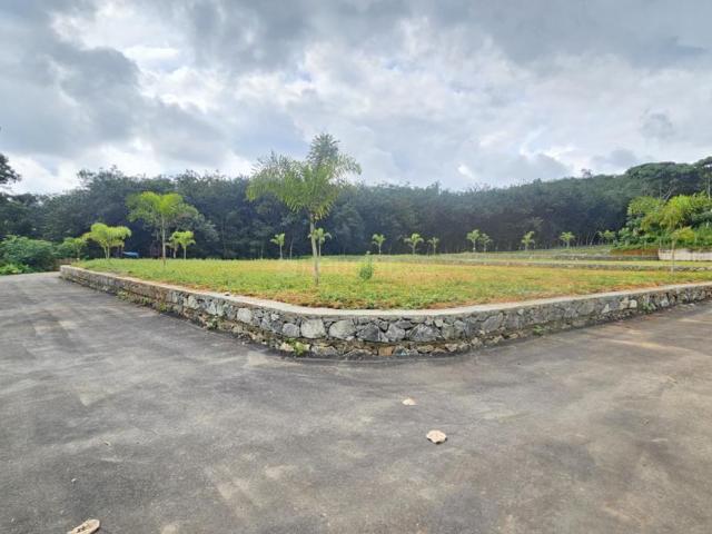 Land for sale in Thrippunithura, Kerala
