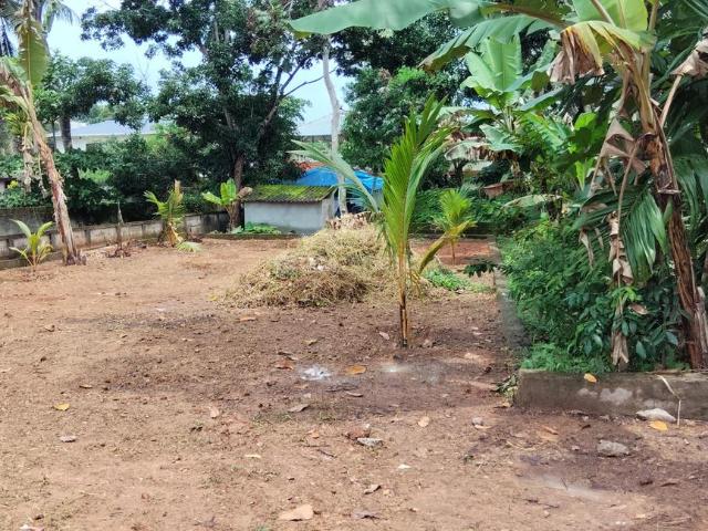 Land for sale in Thrippunithura, Kerala