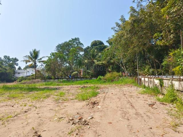 Land for sale in Thrippunithura, Kerala