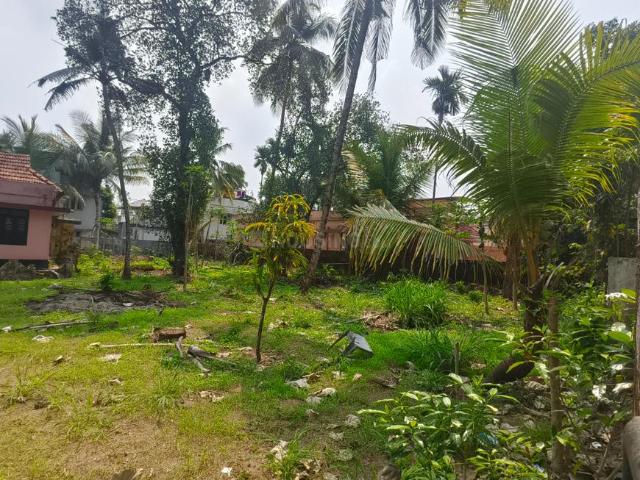 Land for sale in Thrippunithura, Kerala