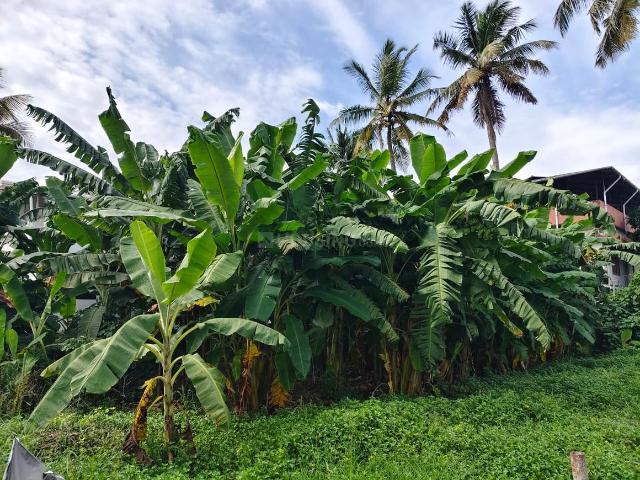 Land for sale in Thrippunithura, Kerala