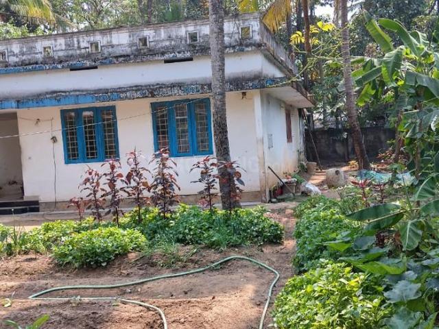 Land for sale in Thrippunithura, Kerala