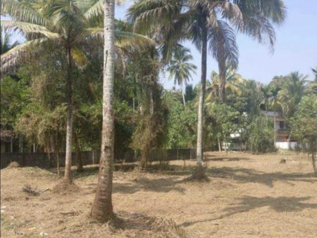 Land for sale in Thrippunithura, Kerala