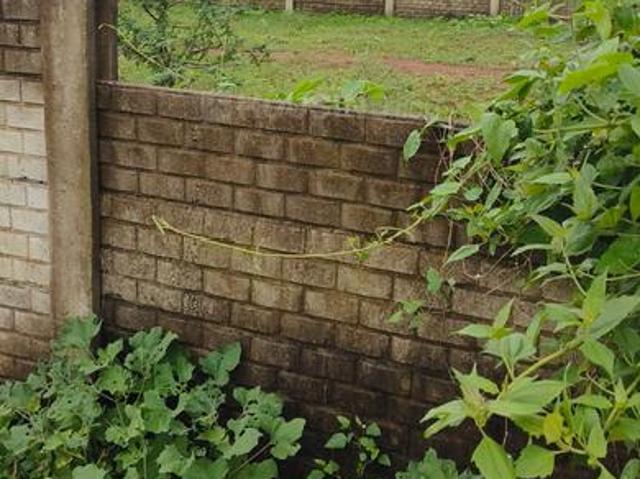 Land for sale in Bilaspur, Chhattisgarh