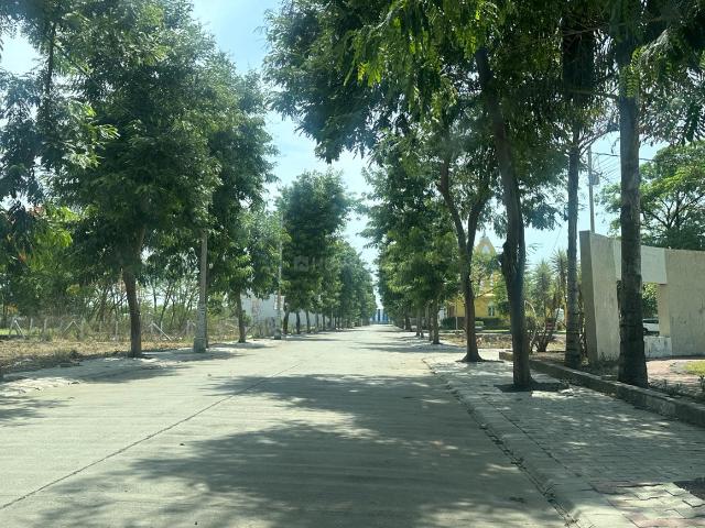 Land for sale in Madya