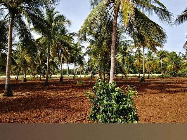 Land for sale in Tiruchirappalli, Tamil Nadu