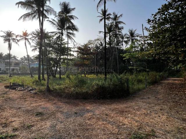 Land for sale in Agacaim, Goa