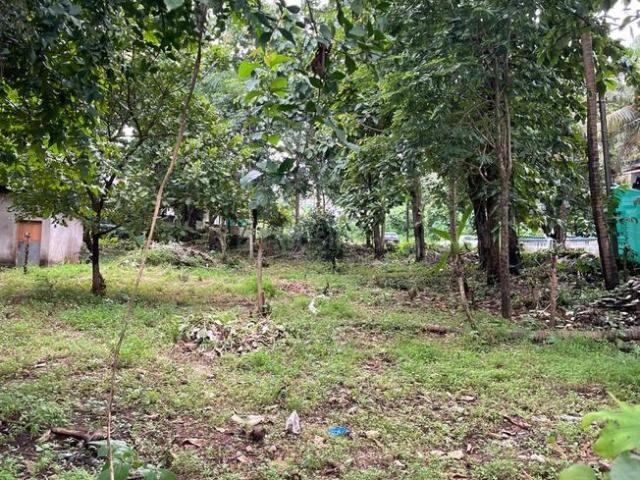 Land for sale in Tivim, Goa