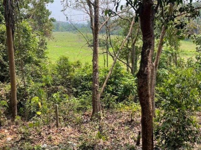 Land for sale in Tivim, Goa