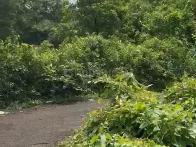 Land for sale in Tivim, Goa