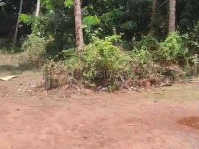 Land for sale in Tivim, Goa