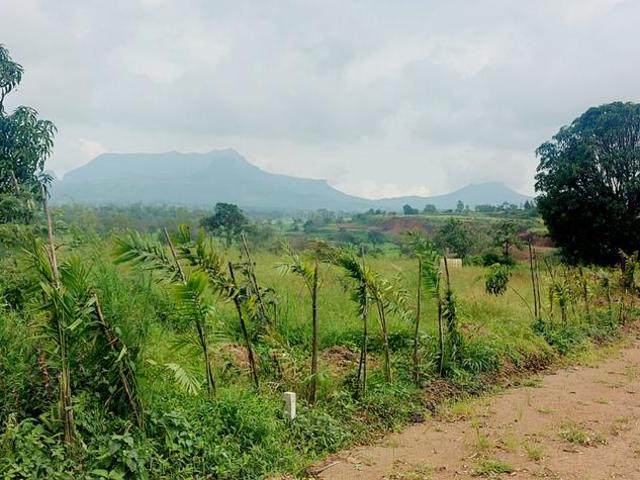 Land for sale in Trimbak, National Capital Territory Of Delhi