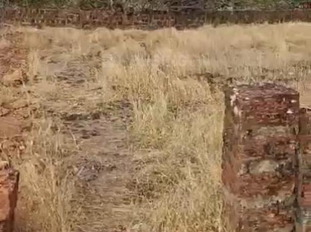 Land for sale in Tuem, Goa