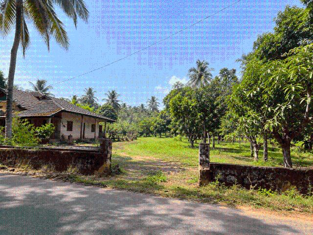 Land for sale in Bandir Wada, Tuem