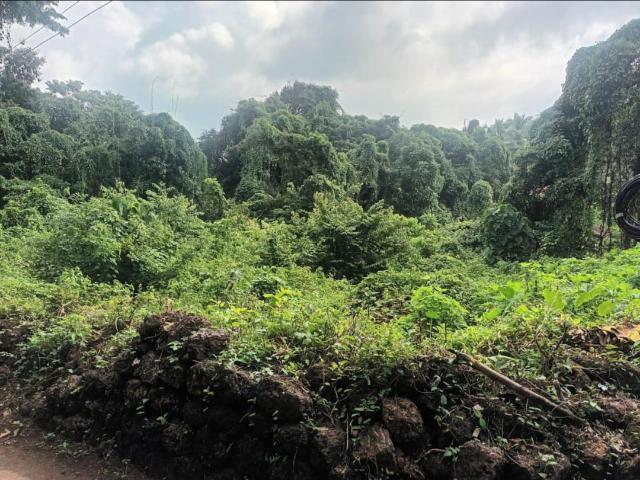 Land for sale in Pello Vaddo, Ucassaim