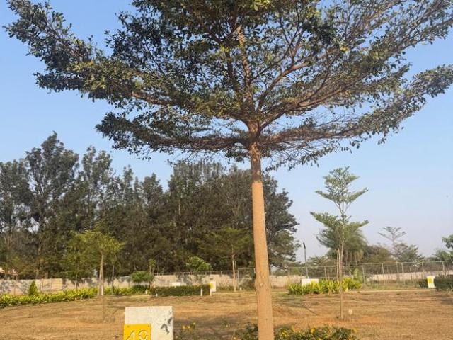 Land for sale in Karnataka