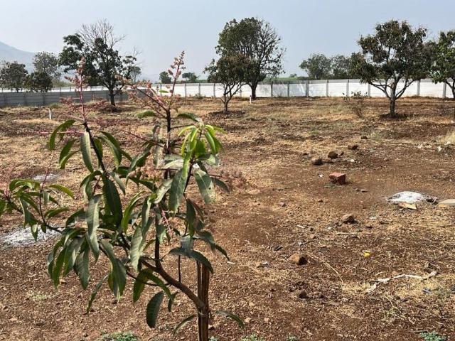 Land for sale in Haveli, National Capital Territory Of Delhi