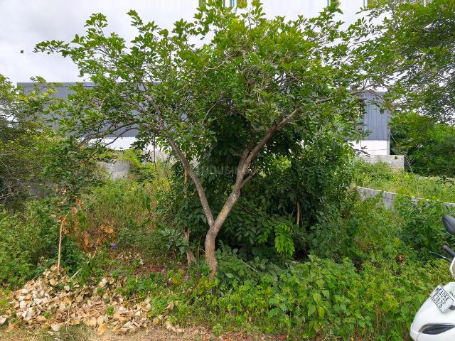 Land for sale in Bangalore South, Cox Town - Bangalore