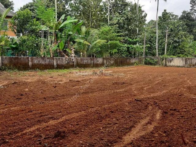 Land for sale in Kerala