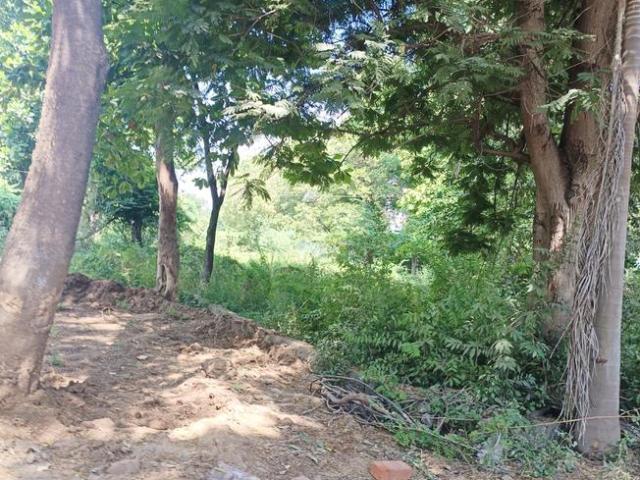 Land for sale in Vadodara, Gujarat