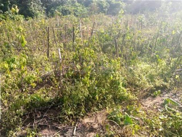 Land for sale in Vasundhara - Delhi, Arunachal Pradesh