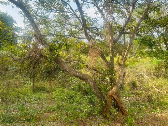 Land for sale in Bangalore South, Cox Town - Bangalore