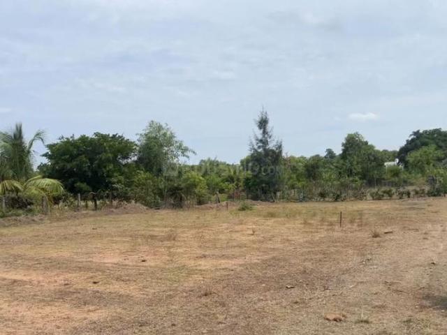 Land for sale in Vanur, Tamil Nadu