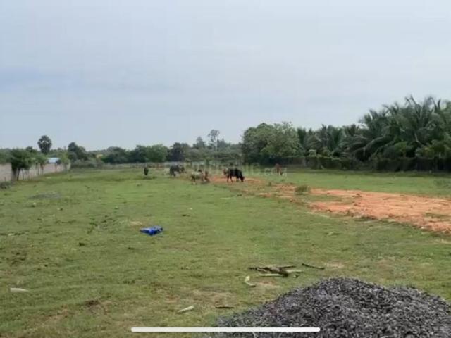 Land for sale in Vanur, Tamil Nadu