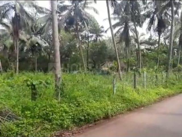 Land for sale in Varconda, Goa