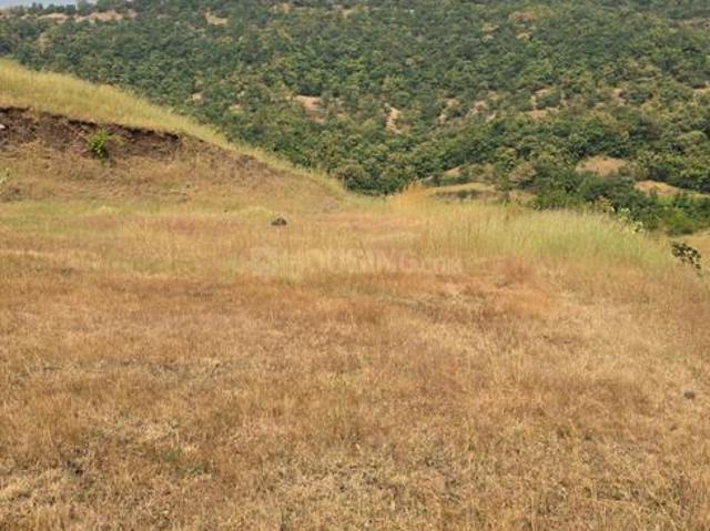 Land for sale in Pune, Maharashtra