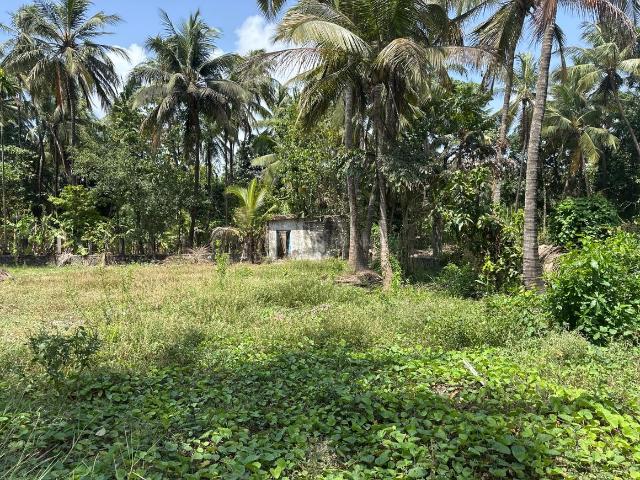 Land for sale in Nalasopara - Mumbai, National Capital Territory Of Delhi