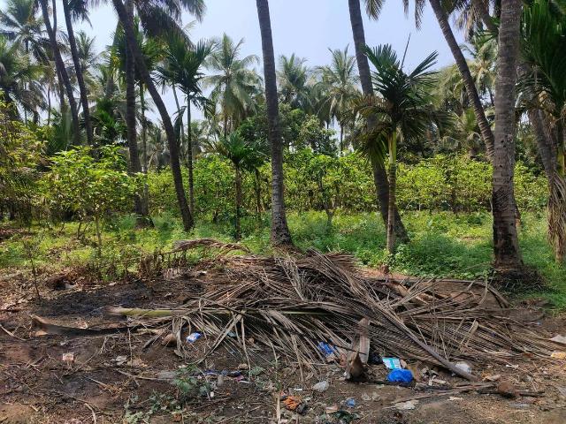 Land for sale in Nalasopara - Mumbai, National Capital Territory Of Delhi