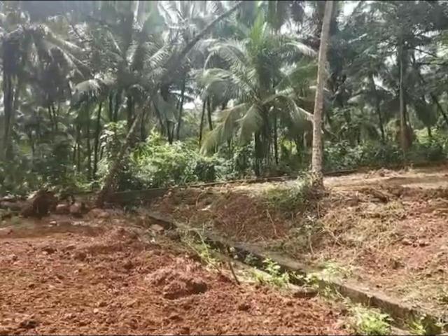 Land for sale in Mormugao, Goa