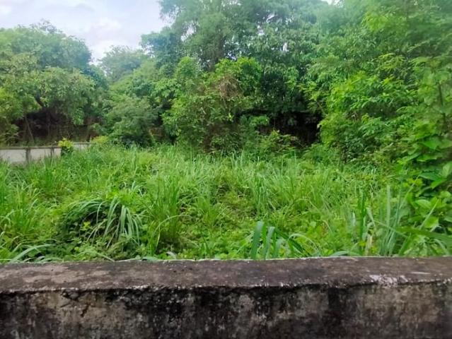 Land for sale in Thrissur, Kerala
