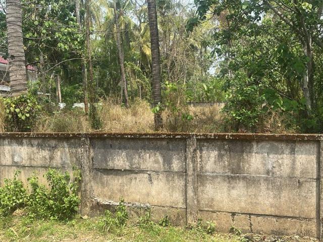 Land for sale in Thrissur, Kerala