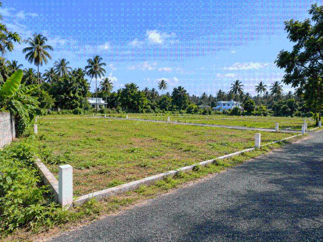 Land for sale in Kerala