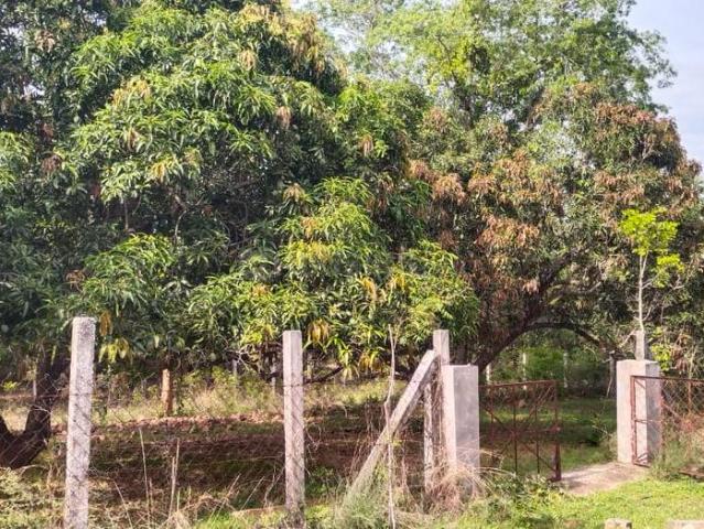 Land for sale in Vengal, Tamil Nadu
