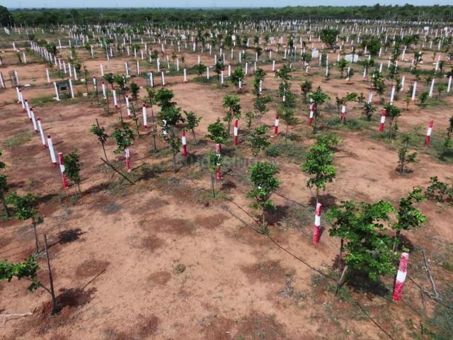 Land for sale in Vengal, Tamil Nadu