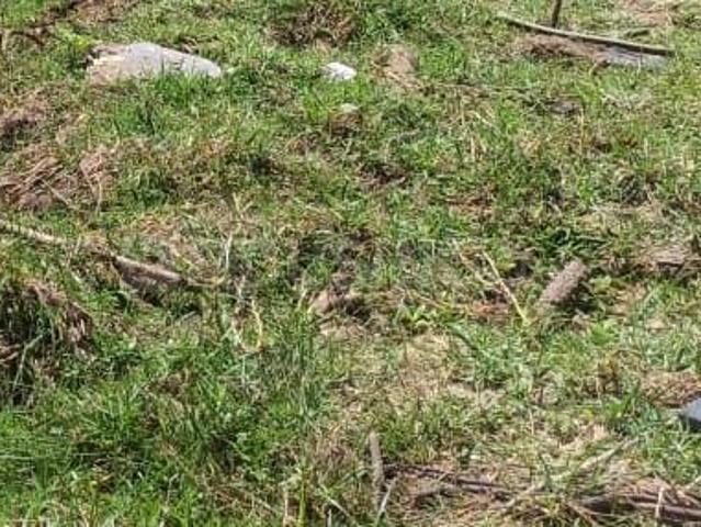 Land for sale in Sholinganallur - Chennai, Tamil Nadu