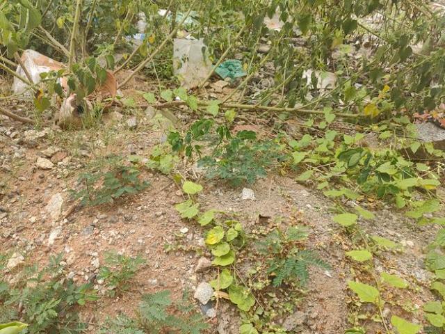 Land for sale in Cox Town - Bangalore, Karnataka