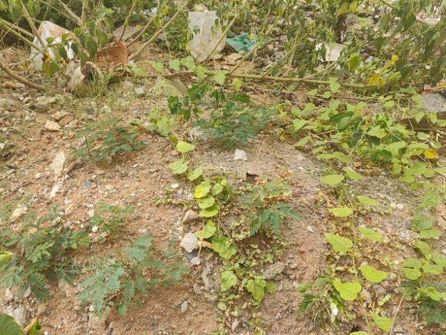 Land for sale in Cox Town - Bangalore, Karnataka