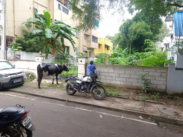 Land for sale in Anna Nagar, Tamil Nadu