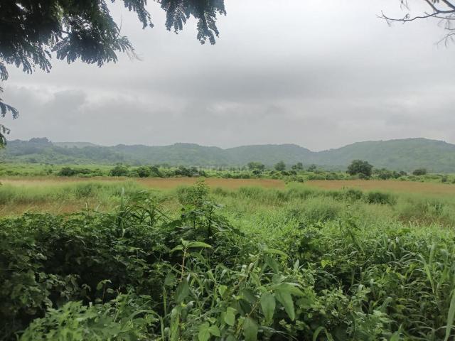 Land for sale in Raigad, Maharashtra