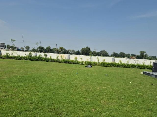 Land for sale in Mathara, Arunachal Pradesh