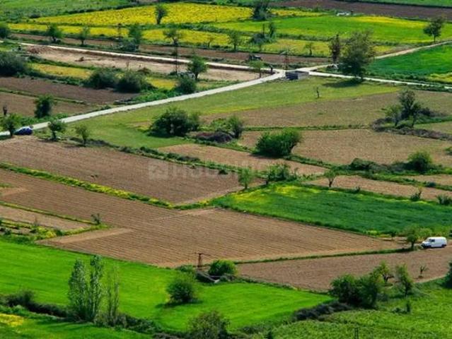 Land for sale in Mathara, Arunachal Pradesh