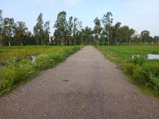 Land for sale in Arunachal Pradesh