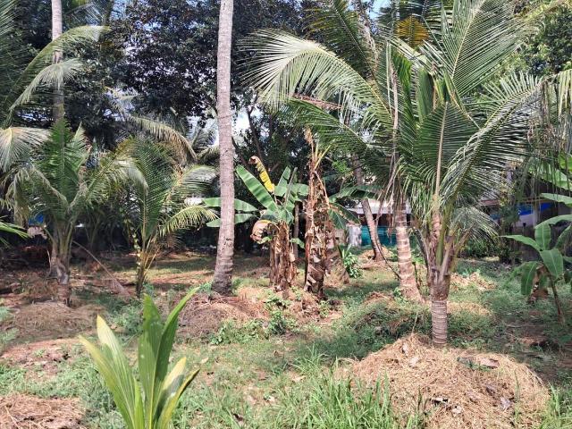 Land for sale in Cochin, Kerala